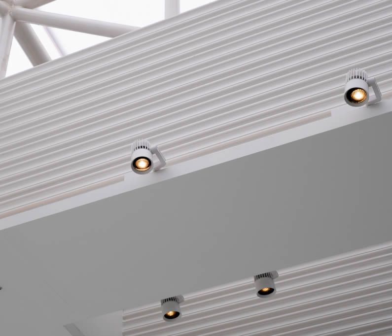 Downlight Halogeno