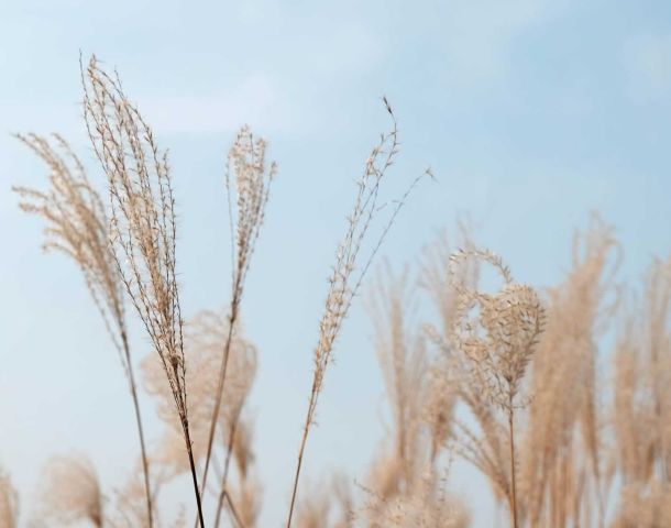 Que SON LOS PRODUCTOS ECOLÓGICOS