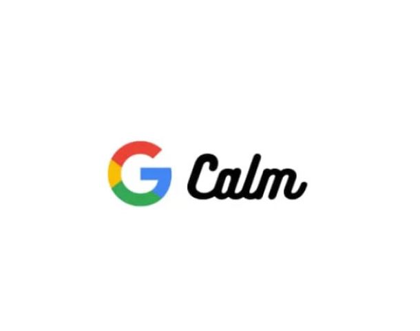 Google CALM: qué es, cómo funciona