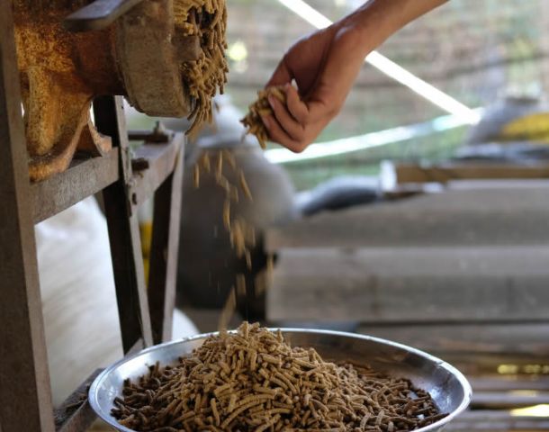 Qué es el PELLET